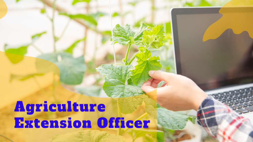 agriculture extension officer