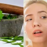 Essential Herbs for Skin Health