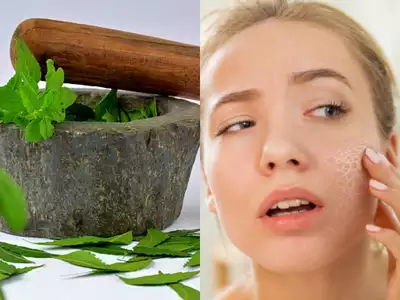 Essential Herbs for Skin Health